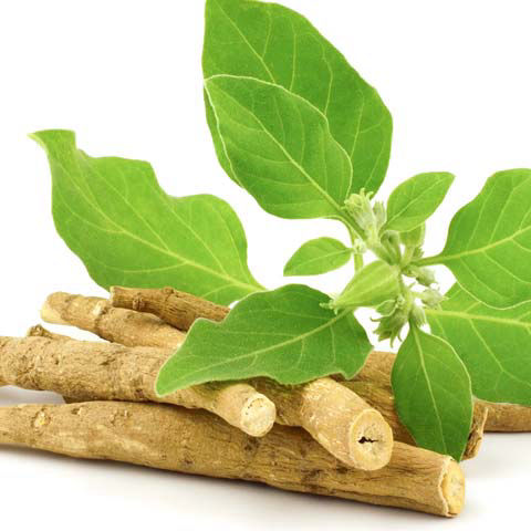 ashwagandha.jpeg